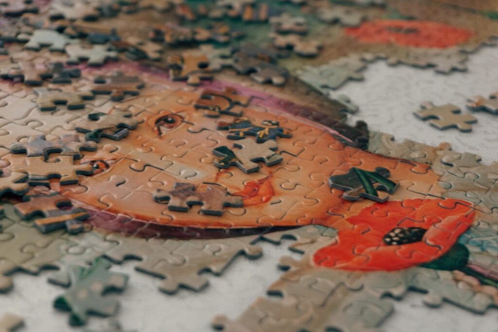 Jeux d’intelligence ludique