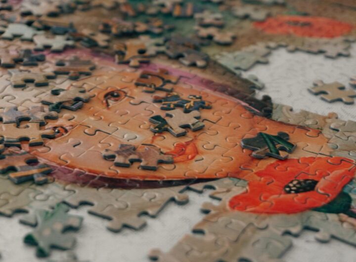 Jeux d’intelligence ludique