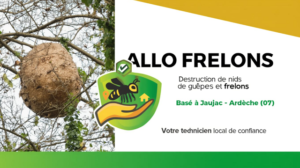 Nid de guêpes ou frelons intervention rapide en Sud Ardèche
