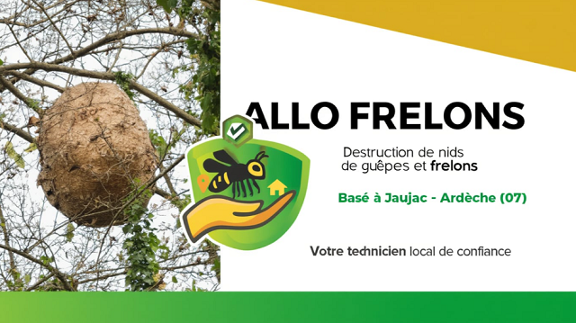 Nid de guêpes ou frelons intervention rapide en Sud Ardèche